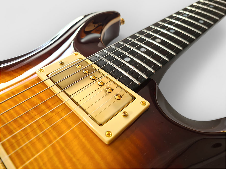 WM Custom - Zeal Guitars