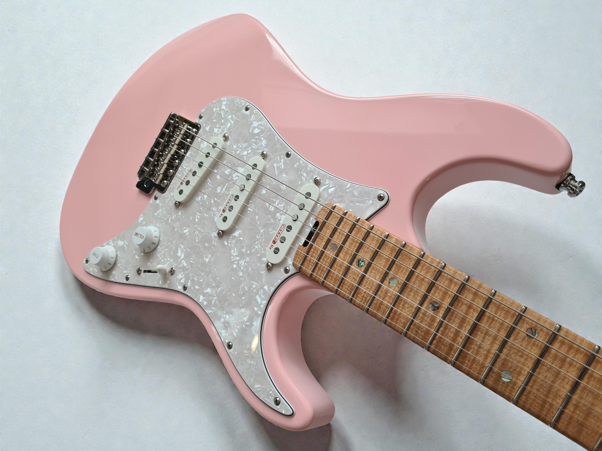SW Custom Guitar - Zeal Guitars